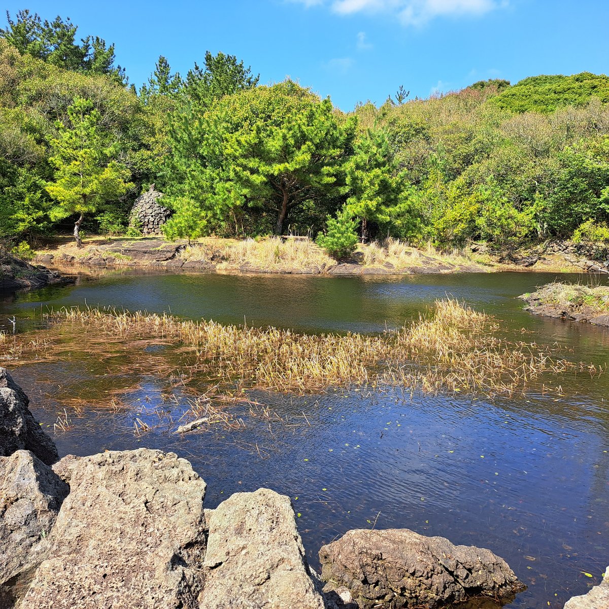 동백동산습지센터 - 제주 - 동백동산습지센터의 리뷰 - 트립어드바이저