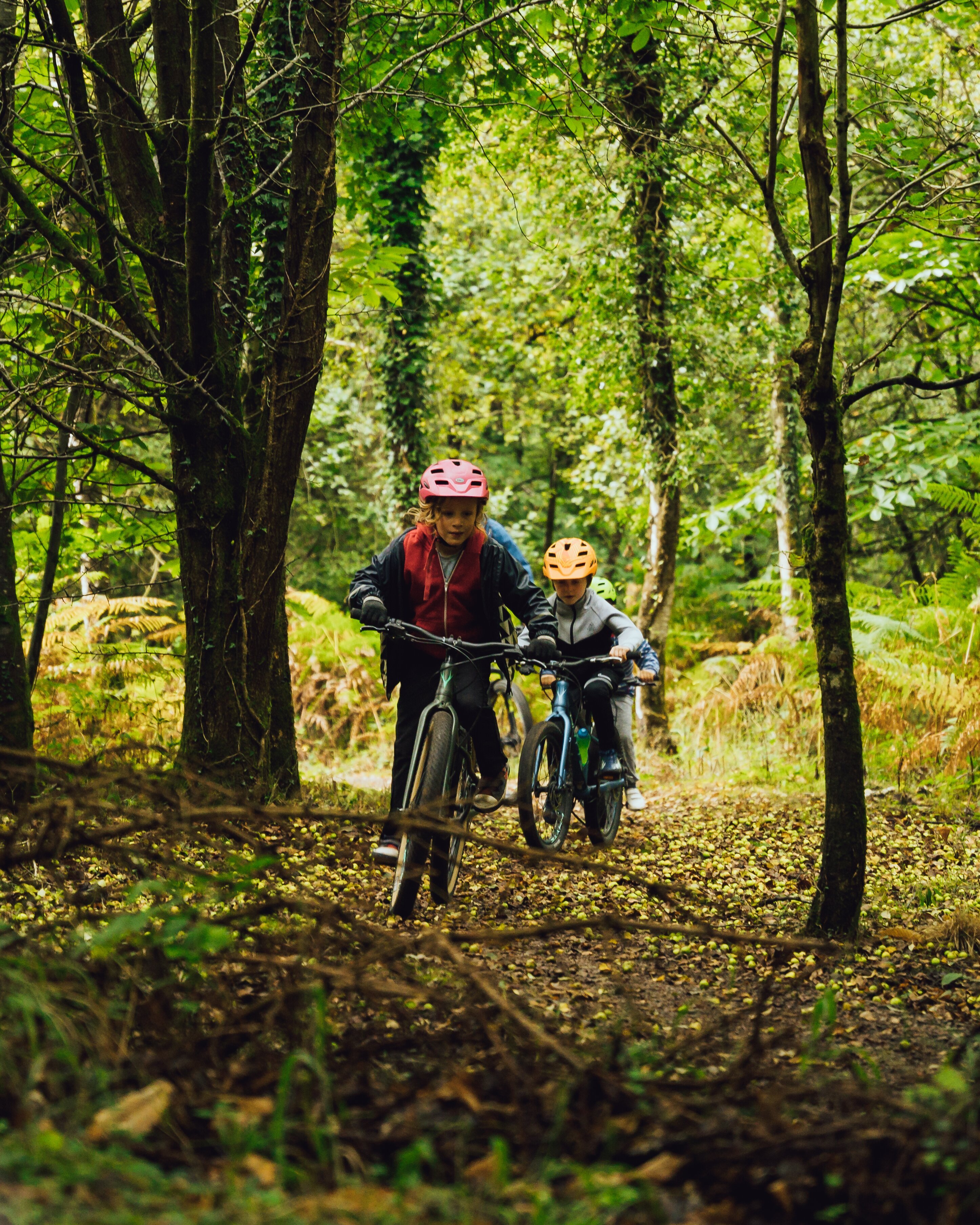 Pedalabikeaway discount trail map