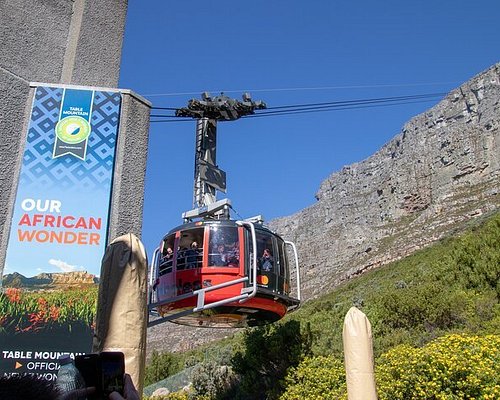 tours in the western cape