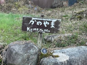旅行者の写真
