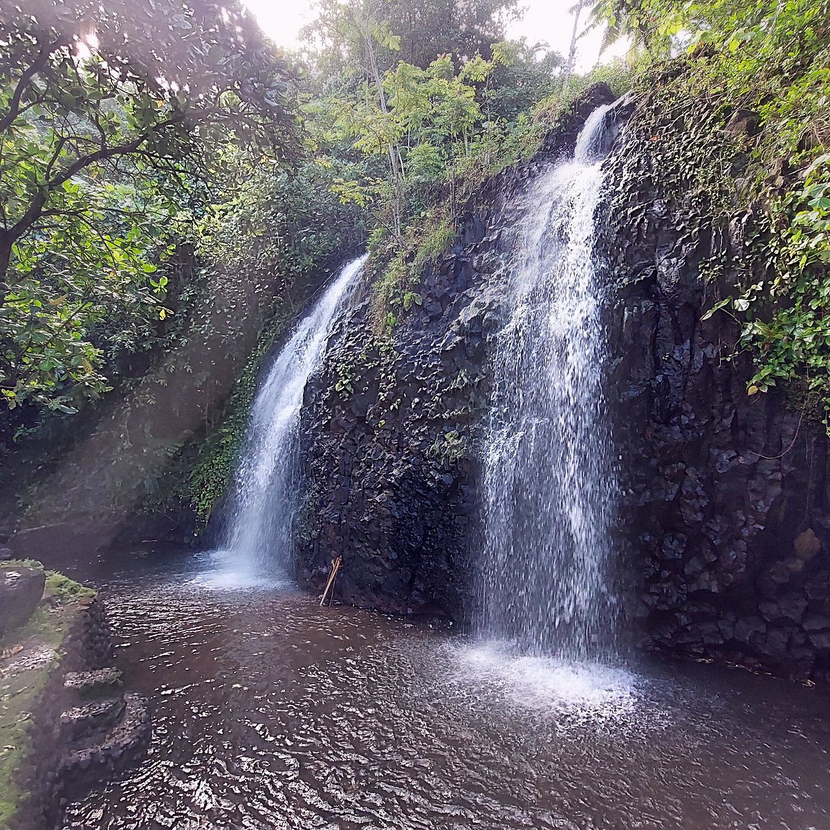 tahiti top tours