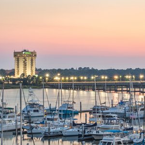 View from the Ashley River