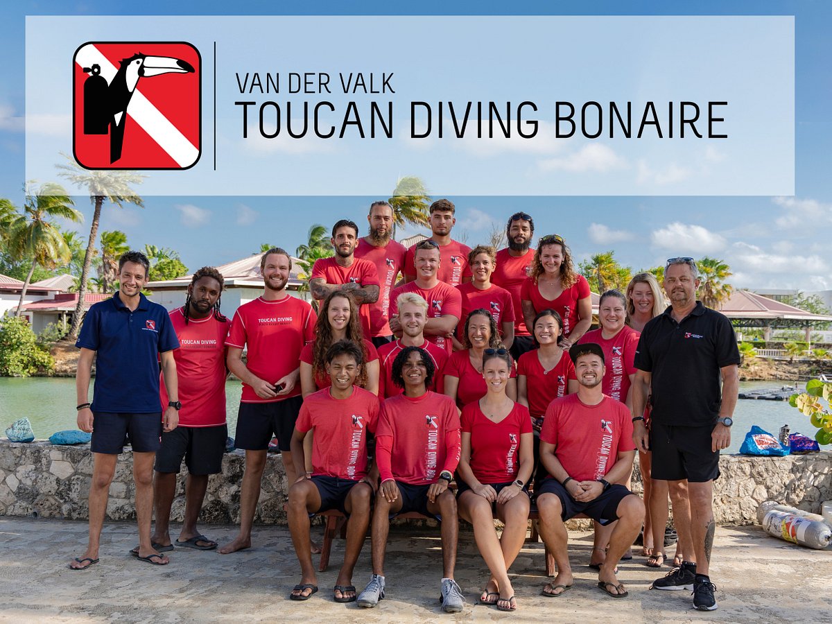 toucan diving and tours