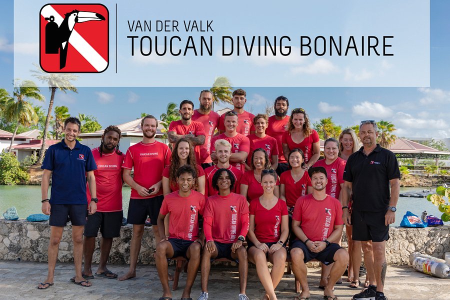 toucan diving and tours