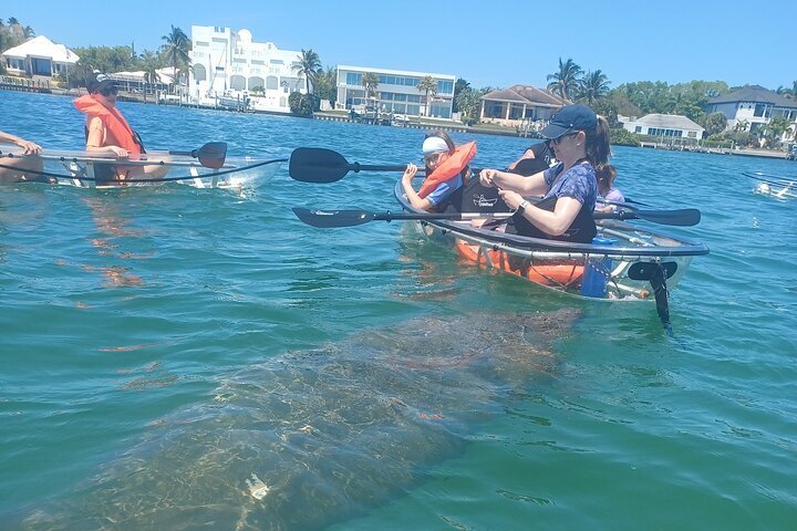 2023 Clear Kayak Glass Bottom Day Tour - Sarasota