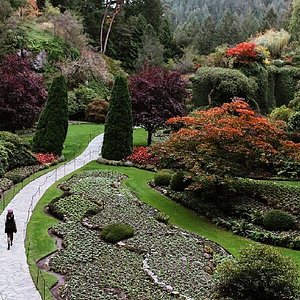 5 Butchart Gardens Christmas Things To Know BEFORE You Go (2023)