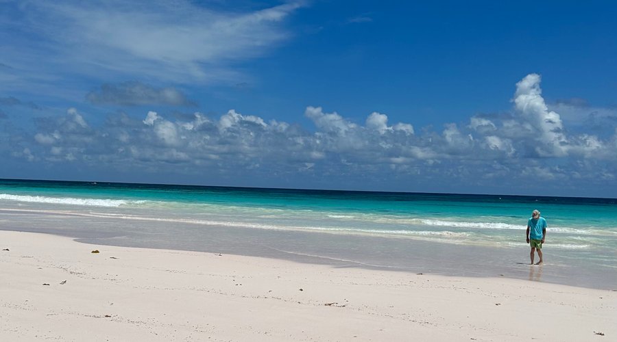 Beautiful pink sand beach just down the road from Sugar Apple.