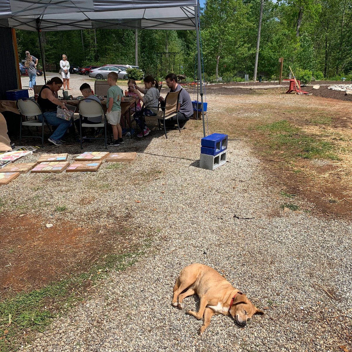 Animal Planet Porn Captions - Dahlonega Butterfly Farm - All You Need to Know BEFORE You Go (2024)