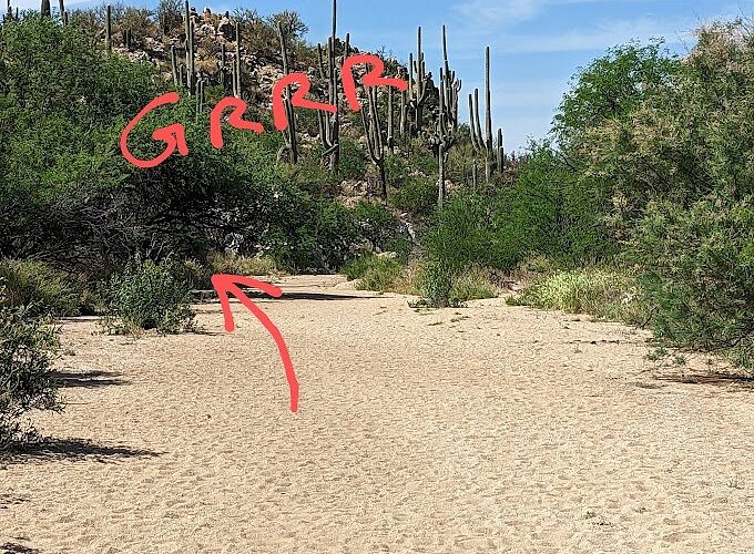Honey Bee Canyon Park Map