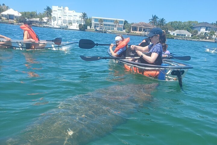 2024 Clear Kayak Glass Bottom Day Tour - Anna Maria Island