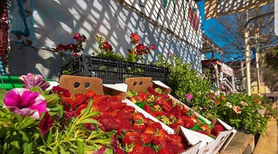 Louisiana Strawberries