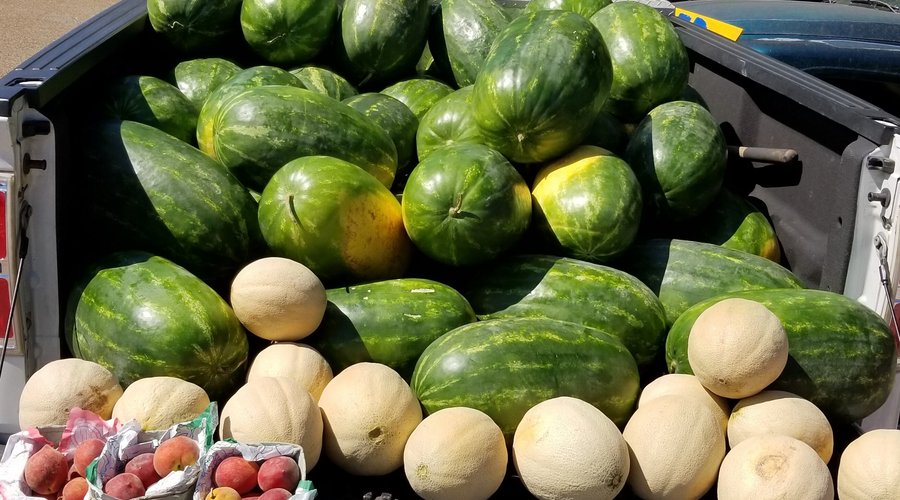 watermelons