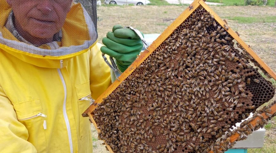 Miele di nostra Produzione