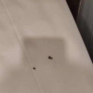 Ink stain on the bedsheet