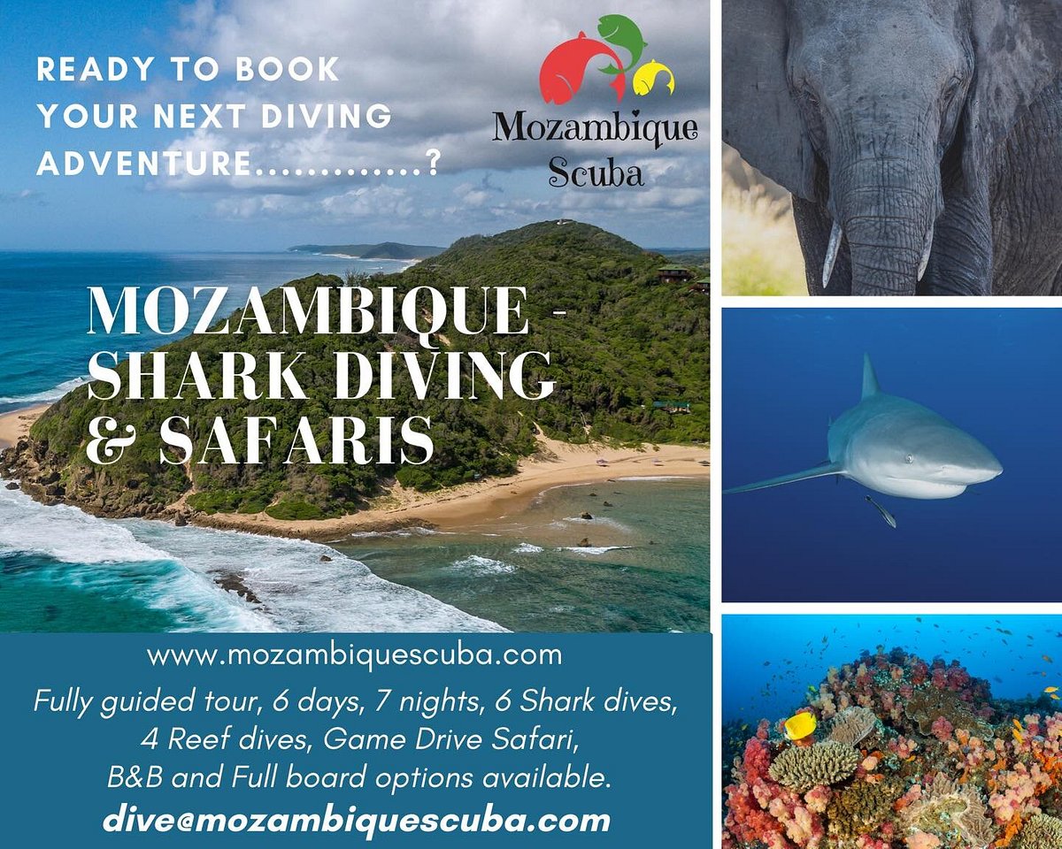 Mozambique Scuba (Maputo) - All You Need to Know BEFORE You Go (with  Photos) - Tripadvisor