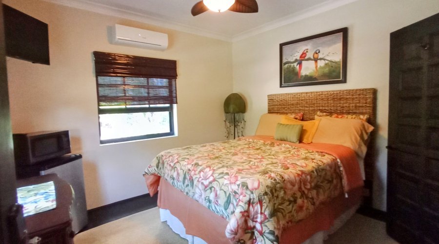 Guest rm#3, queen size bed, private bath w/ walk-in shower, smart tv, ac, mini fridge and microwave.
