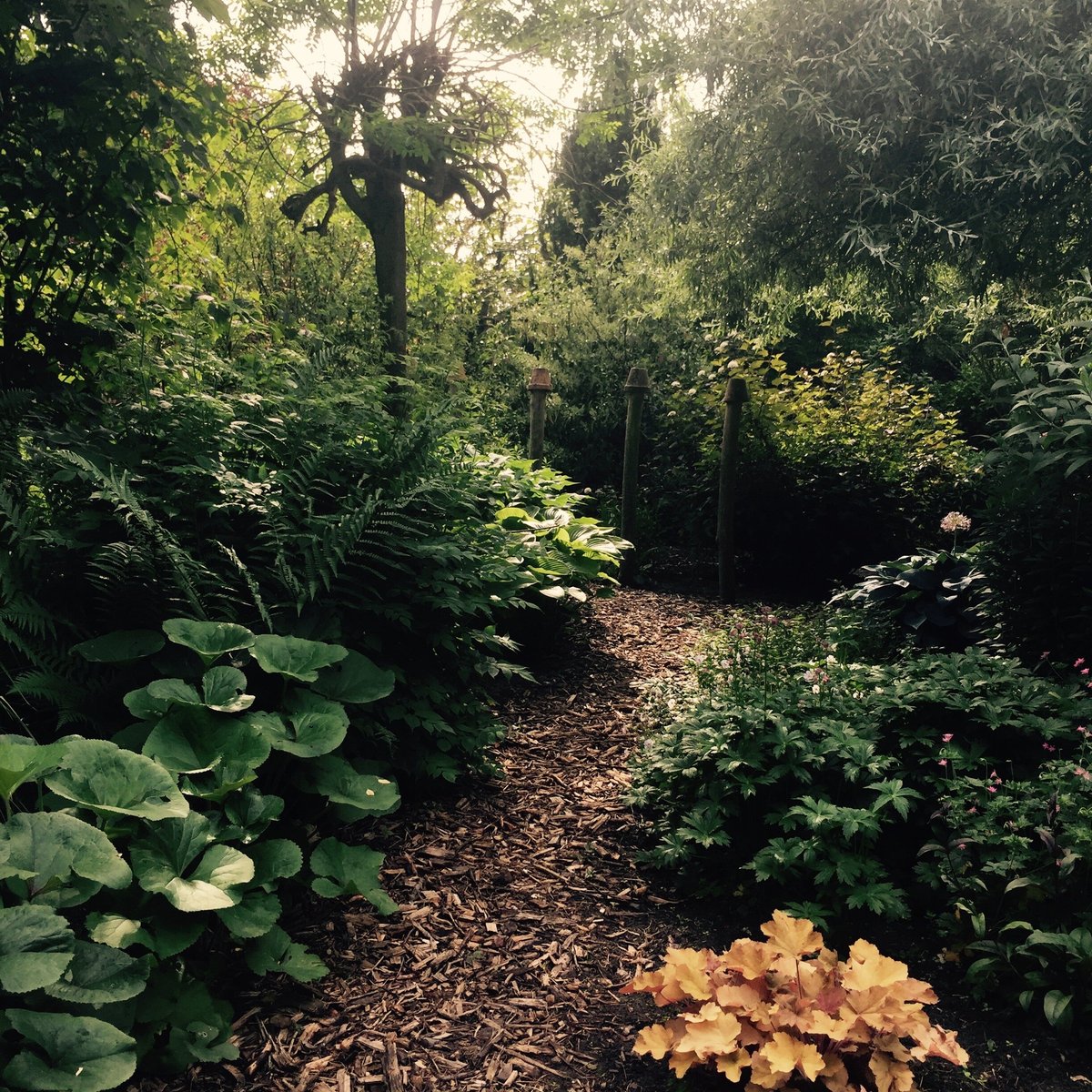 The Hidden Garden (Venlo, The Netherlands) Address, Phone Number