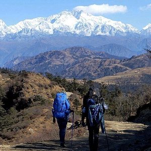 pelling group tour