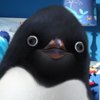 Jellysue