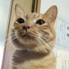 ハラグチ