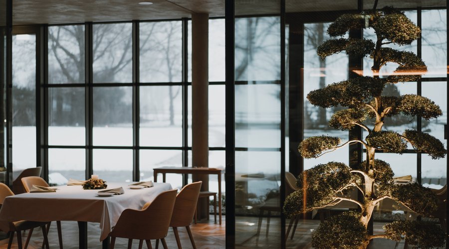 Das Dichter im Winter