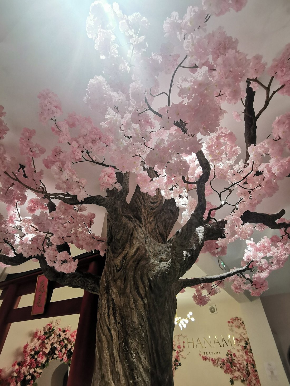 HANAMI TEATIME, Paris - Menu, Prices & Restaurant Reviews - Tripadvisor