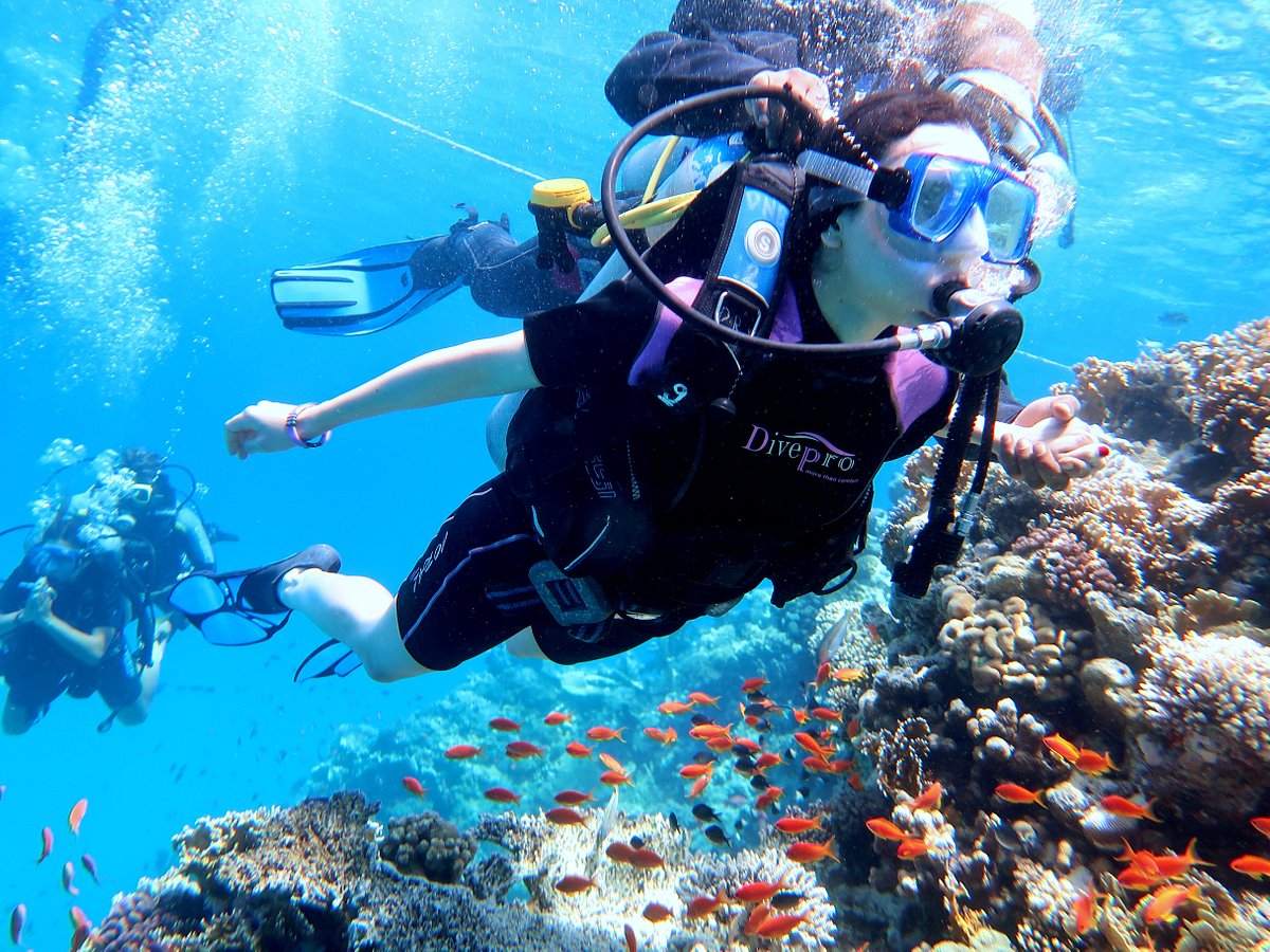 Top 10 Sharm El Sheikh Scuba diving 2024 - Klook United States