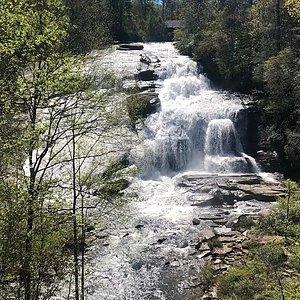 best places to visit in greenville south carolina