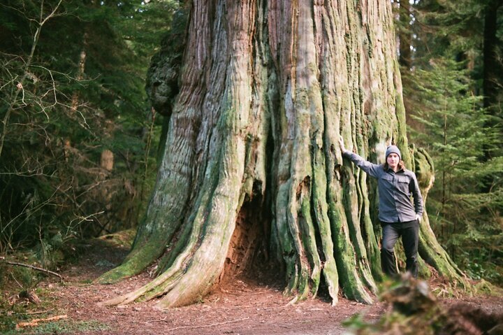 2023-ancient-trees-of-vancouver-walking-tour