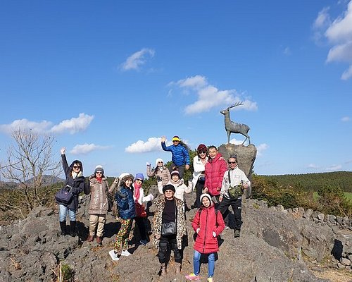 seoul family tour packages