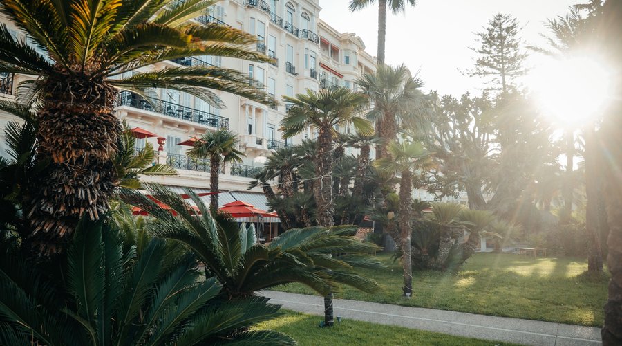 Jardin exotique de l'hôtel