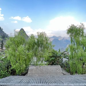 Beautiful Nature View from My Bed