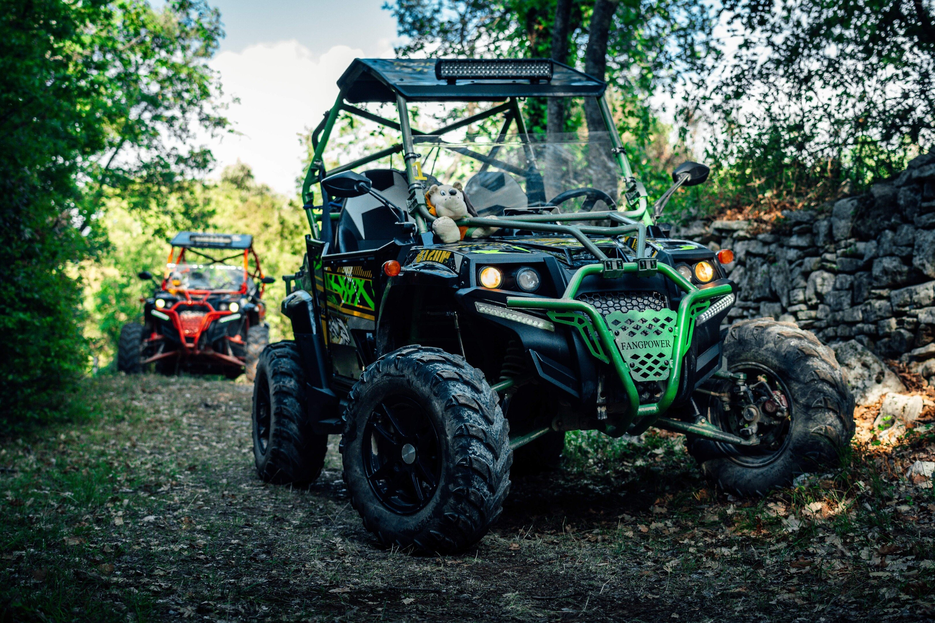 Istrian cheap buggy adventures