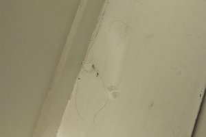 客房和套房