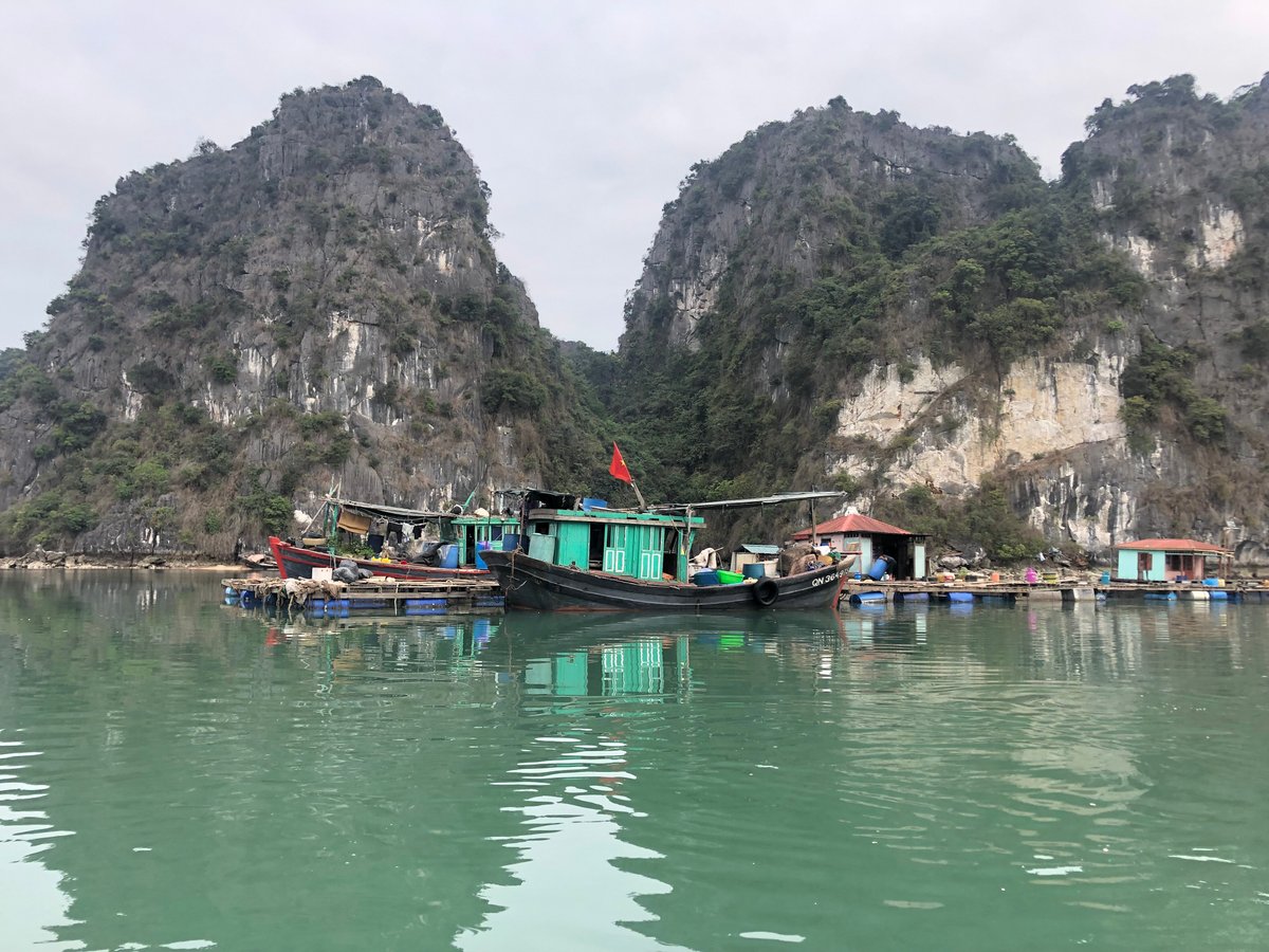 DRAGON PEARL CRUISE (Halong Bay) - All You Need to Know BEFORE You Go