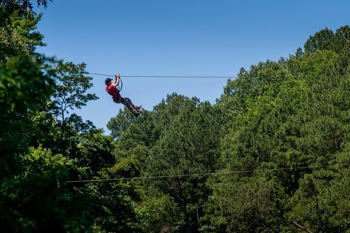 2024 Ziplining and Climbing at The Adventure Park at Virginia Aquarium