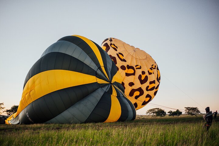 Serengeti near outlet me