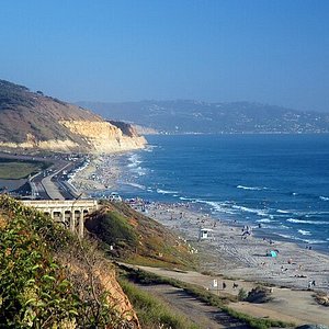 La Jolla Cove Seal Beach - Picture of La Jolla, San Diego - Tripadvisor