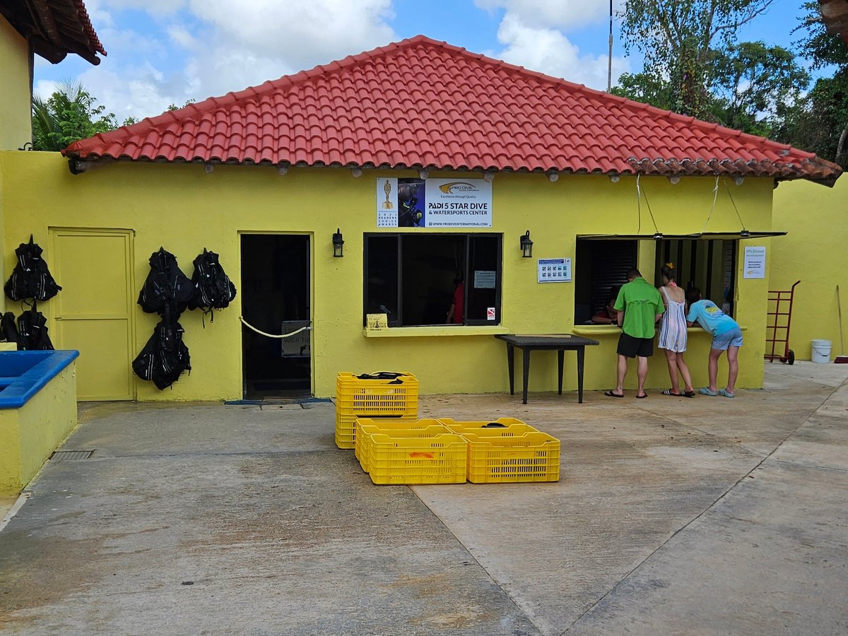 Pro Dive International (Cozumel) - All You Need to Know BEFORE You Go