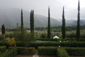 Oda ve Süit