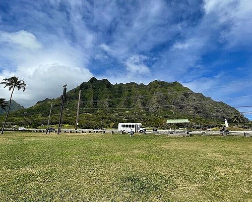 tour bus honolulu hawaii