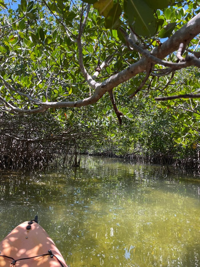 Tradução casal de verão tem um feliz acampamento de férias_noite