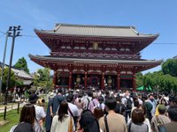 Tokyo 4hr Private Tour with Government-Licensed Guide 2024