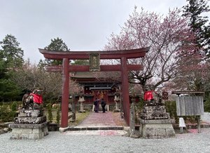 旅行者の写真