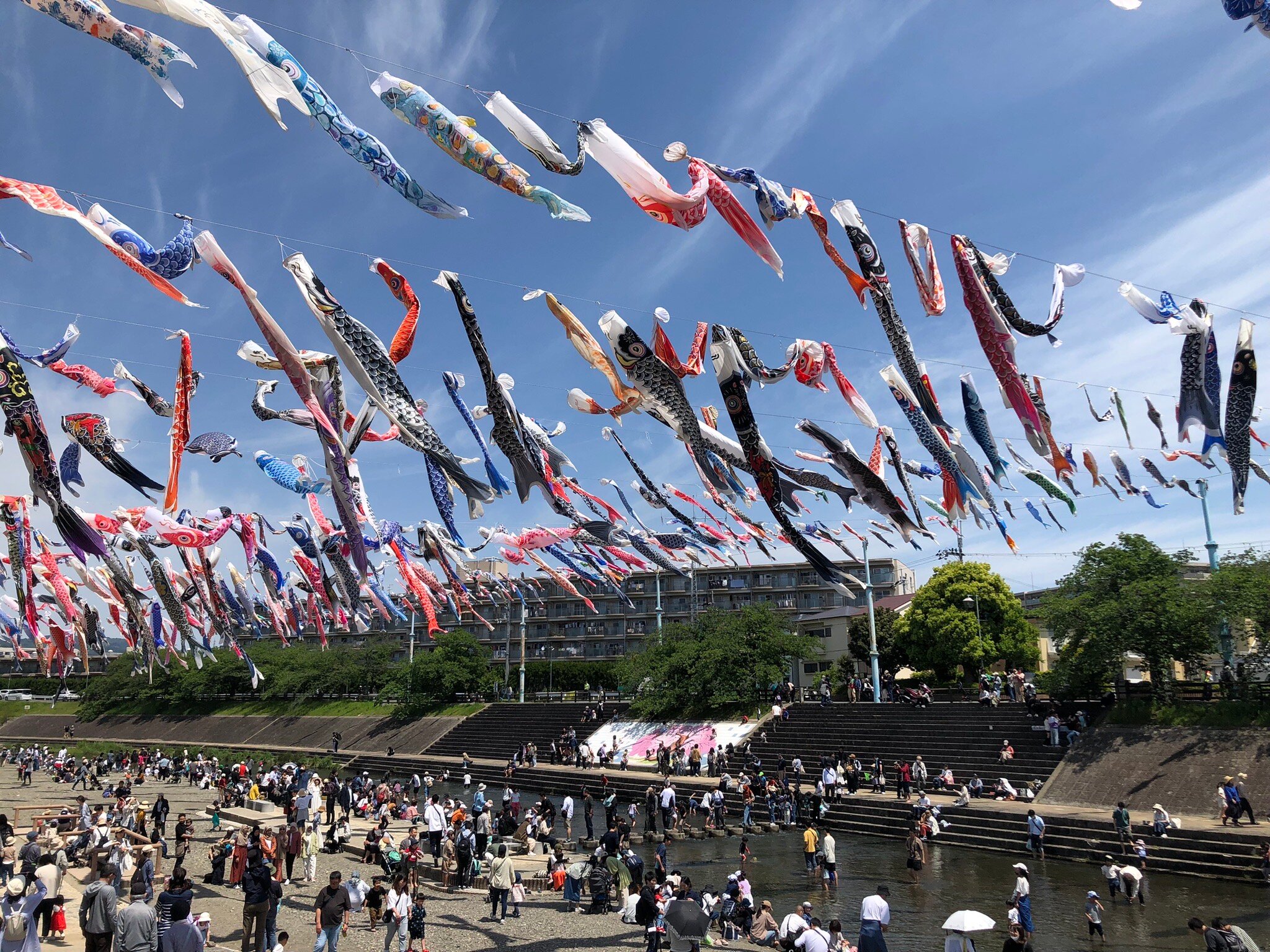 2025年 こいのぼりフェスタ1000 - 出発前に知っておくべきこと