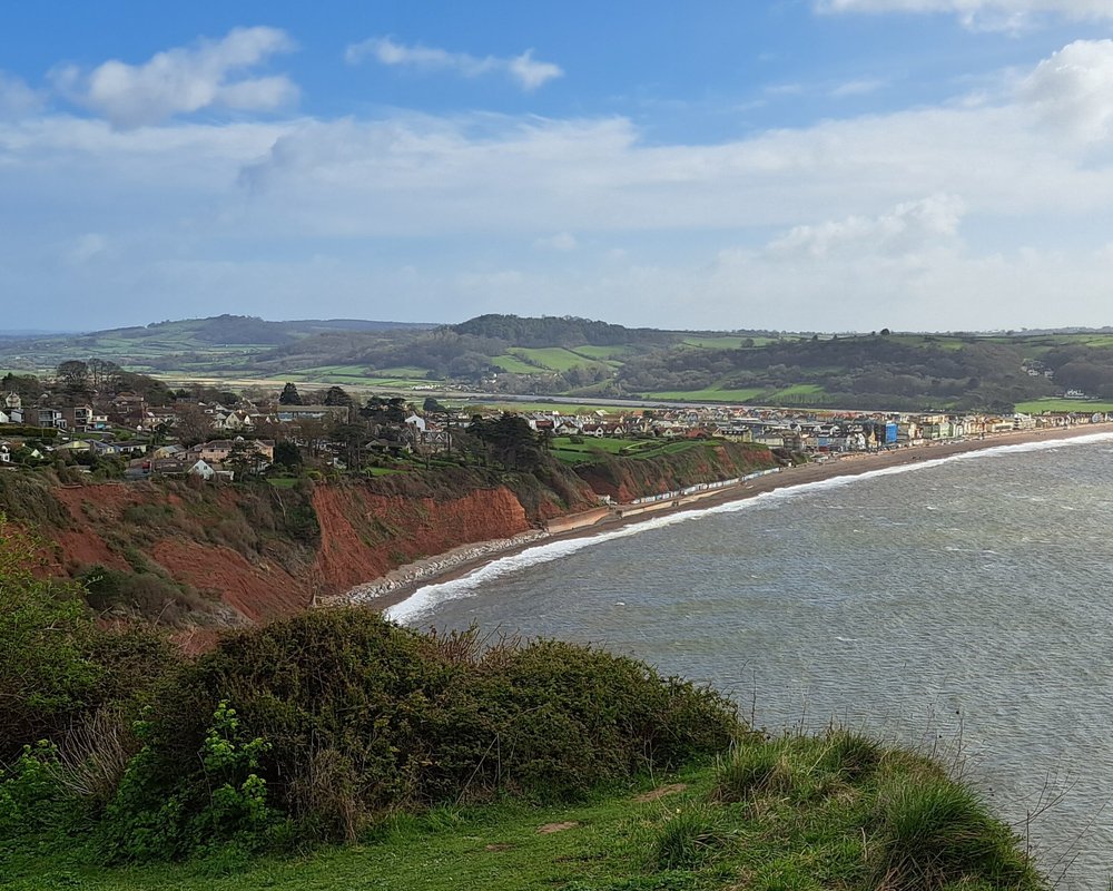 The 10 Best Things to Do in Seaton - 2024 (with Photos) | Tripadvisor