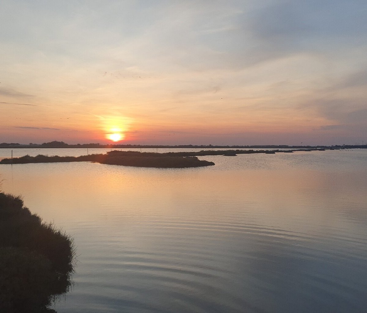 Centro Visite Salina di Cervia - ARTEMIA SALINA Nei laghi continentali  salati e nelle acque madri della Salina ha trovato rifugio dai nemici  predatori l'Artemia salina, piccolo crostaceo rossastro lungo al massimo