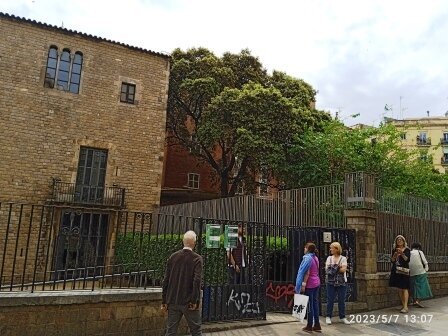 Imagen 6 de Sant Pau del Camp