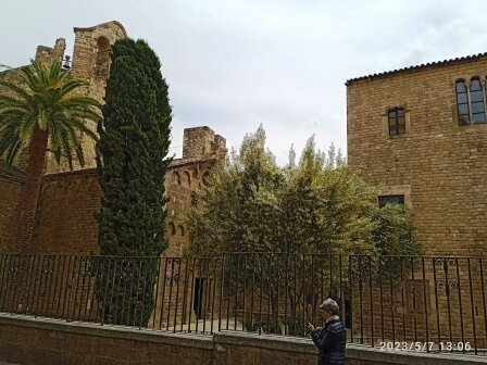 Imagen 5 de Sant Pau del Camp