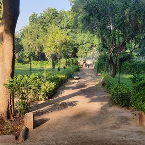 WelcomHeritage Bal Samand Lake Palace, hotel in Jodhpur
